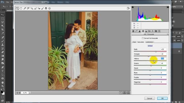 Timeless Wedding Tone | Camera Raw Presets | Pre Wedding Color Grading In Photoshop Tutorial