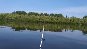 Спиннинг крокодил 100-250 гр. 2.1 метра. Троллинг. Вершинка удилища.