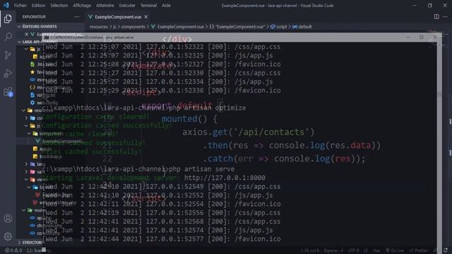 Laravel 8 darija from zero to hero -62- (laravel api development (get data from api using vue js)) смотреть онлайн