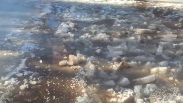 Тингер по насту и лужам