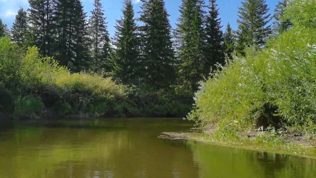 Сплав Рыбная. Завалы и обносы. Часть 2. Громадск-Новопятницкое смотреть онлайн