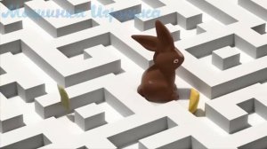 Голодные игры СМЕШИЛКИ шоколадных героев