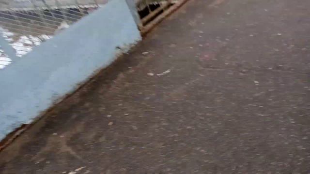 Электропоезд эт2м-075 До станции Любань и Электропоезд эт2м-116 До станции Санкт-Петербург Тосно-2 смотреть онлайн