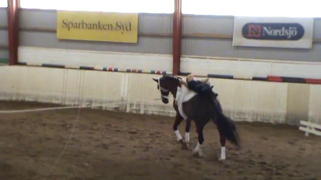 Ellen Jönsson kür 2013 смотреть онлайн