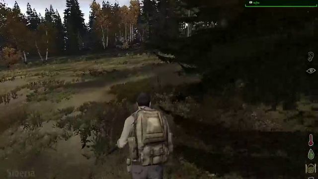 #1 Arma 2: DayZ mod Siberia [RU] смотреть онлайн