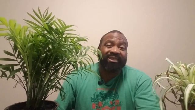 Our House Plants | Small YouTube Creator Tag смотреть онлайн