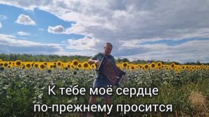 Деревня моя. Караоке под гармонь.