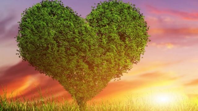 КАК ВЫСТРАИВАТЬ ГАРМОНИЧНЫЕ ОТНОШЕНИЯ смотреть онлайн