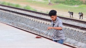 ФЕЙКОВЫЙ ПАУКТ ПРАНК из Индии.?????