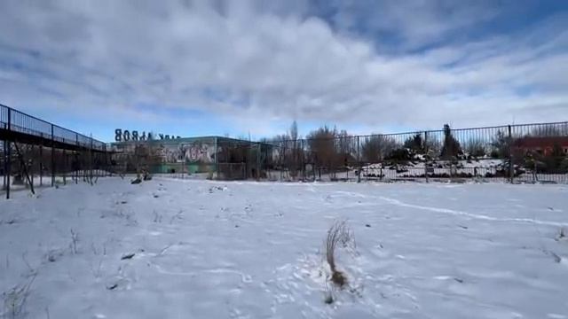 Читая Олега Зубкова! Дрессировщик поневоле ! смотреть онлайн