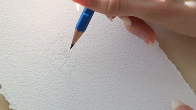 Sketch A Narcissus Flower! | Learn How to Draw A Light Sketch for Watercoloring смотреть онлайн