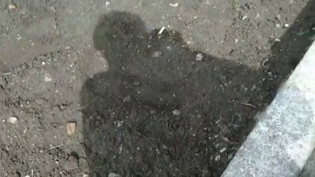 ВЛОГ: МАРИНУЮ МЯСО НА ШАШЛЫК/ПРАЗДНИК В ЧЕСТЬ ДНЯ ПОБЕДЫ/ОТМЕЧАЕМ ДЕНЬ ПОБЕДЫ??? смотреть онлайн
