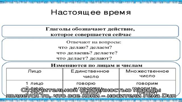 Каурая масть лошади в жизни и культуре смотреть онлайн