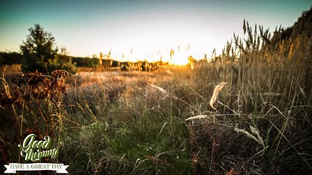 GOOD MORNING MUSIC -  Boost Positive Energy | Peaceful Morning Meditation Music For Waking Up, Rela