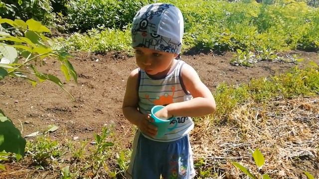 Влог. Суббота. Утреняя рутина. Дача смотреть онлайн