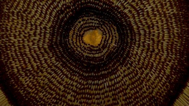 GIANT UFO Flying Saucer from MATCHES - Match Chain Reaction Amazing Fire Domino смотреть онлайн