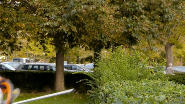 Электрический кусторез STIHL НSЕ 61 48120113509 50см смотреть онлайн