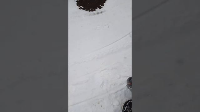 Доставка на моноколесе зимой .#euc #delivery #moldova Delivery on electric unicycle Inmotion v10 смотреть онлайн