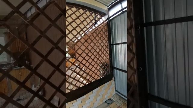 мягкие окна, гибкие окна, жидкие окна очень функциональные и долговечные??? смотреть онлайн
