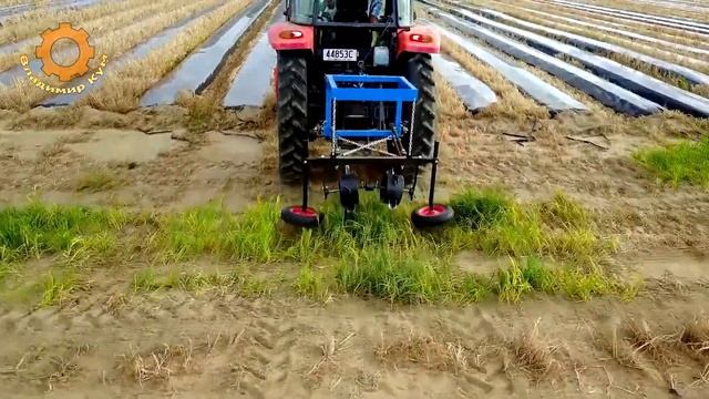 Как собирают чернику в Канаде и другие удивительные аграрные машины смотреть онлайн