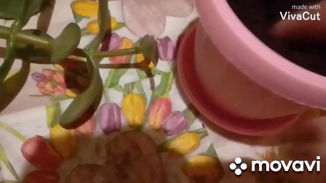 Беби плохо пока и сажаю денежное дерево😐🐕💕❤ смотреть онлайн