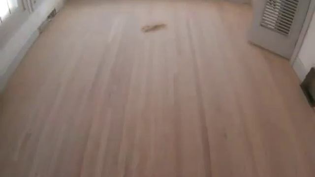 Floor_Refinishing.flv смотреть онлайн