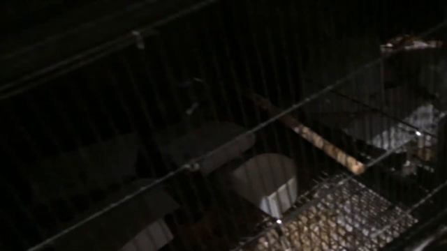 Мечты сбываются! Подарки на день рождения смотреть онлайн
