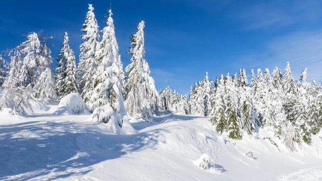 Красивые пейзажи Зимнего леса .Под легкую музыку !!!