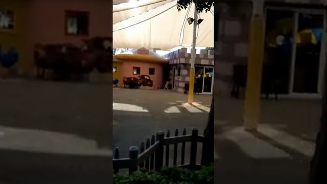 Привет из солнечной Турции! смотреть онлайн