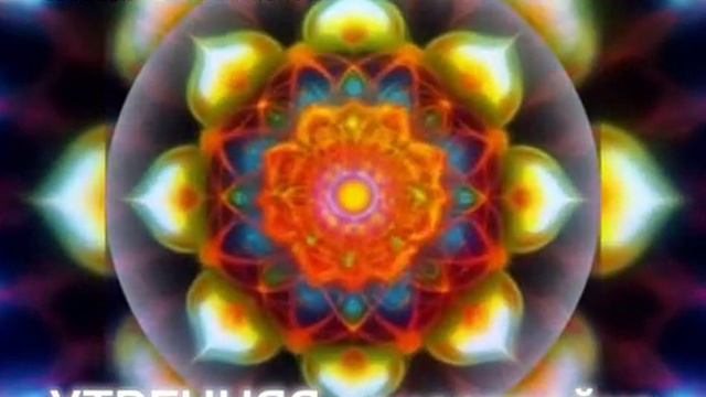 Внутренняя сонастройка. Из утренней практики с Цивилизацией СИЦЕЯ 11пл смотреть онлайн