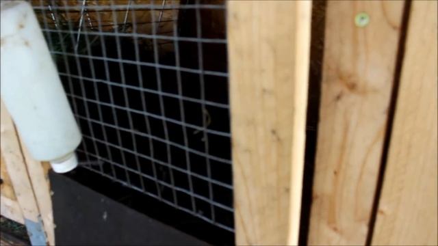 Клетка для кроликов от Золотухина - своими руками - проверено! работает!!! смотреть онлайн