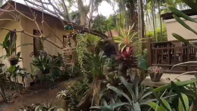 Остров Самуи 2020 - Crystal Bay ( самый полный обзор отелей и инфраструктуры) смотреть онлайн