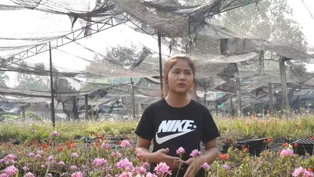 LANNA-VOCATIONAL-COURSES-mindset 00 00 JAM смотреть онлайн