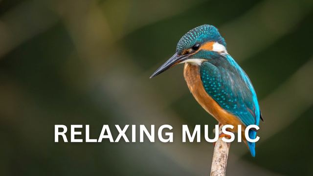 Relaxing Music For Meditation, Zen, Yoga & Stress Relief: The Sound Of Inner Peace & Balanced Energ