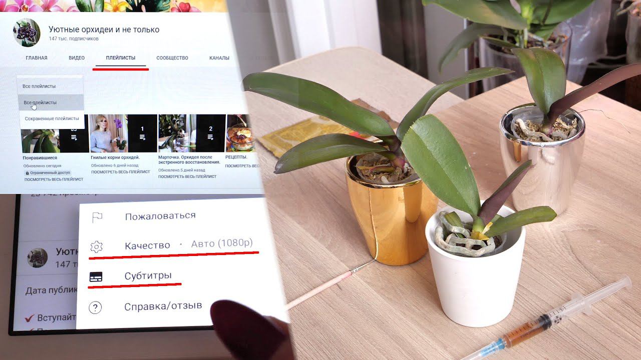 Орхидеи Малышата ТЕРЯЮТ ЛИСТЬЯ. Что ОСТАЛОСЬ от Биг Липчика?! смотреть онлайн