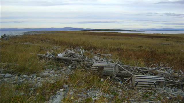 "Newfoundland Is Home To Me" New CD Song, Written by Edward Legge смотреть онлайн