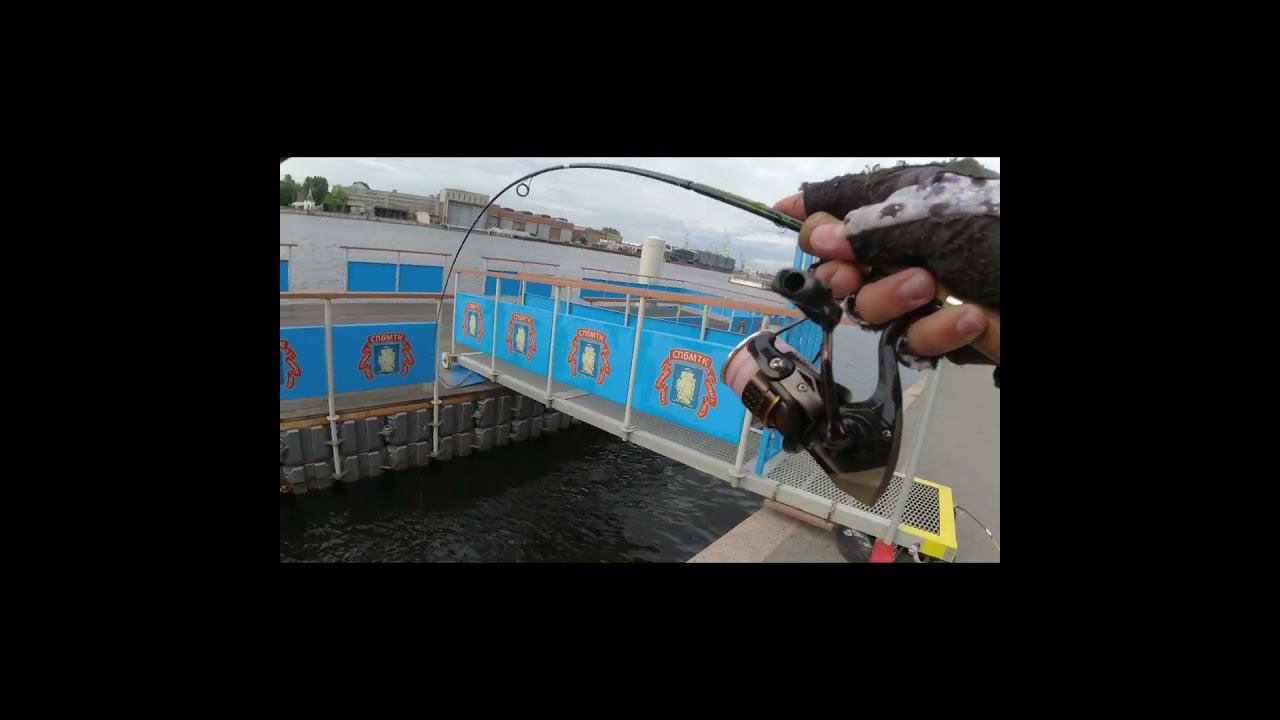 Толстый Окунь смотреть онлайн