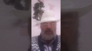 р.2 КАРАВАН и СЭНТО лучшие аппараты для ТЕРМООБРАБОТКИ прямо в улье