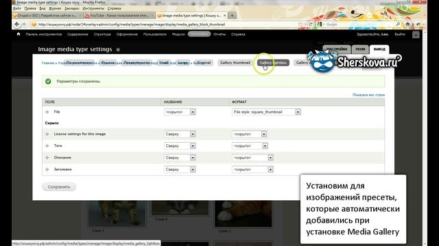 Drupal 7 - Media Gallery