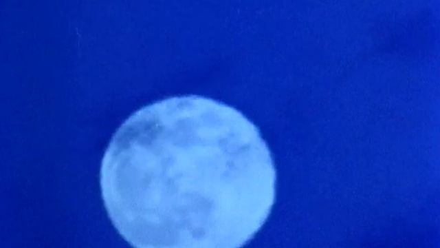 Manimal - 01x01 - Manimal