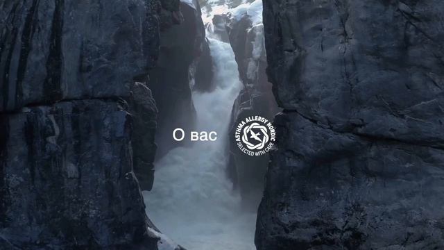 Гель для посудомоечной машины «3 в 1» от ASKO смотреть онлайн