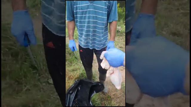 Разделка барана смотреть онлайн