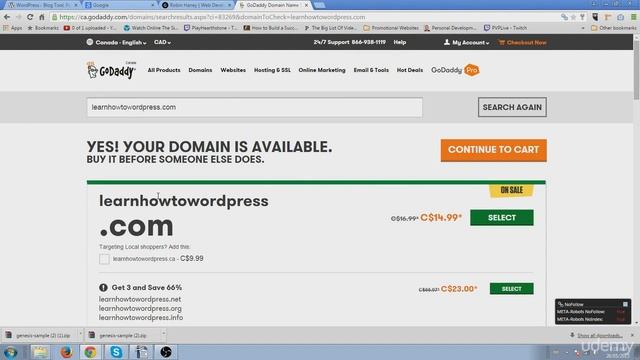 WordPress Basics - What is a Domain Name? #4 смотреть онлайн
