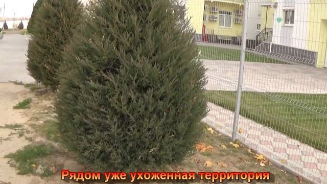 Камышин 5 мкр. Тихий ужас начинается. смотреть онлайн