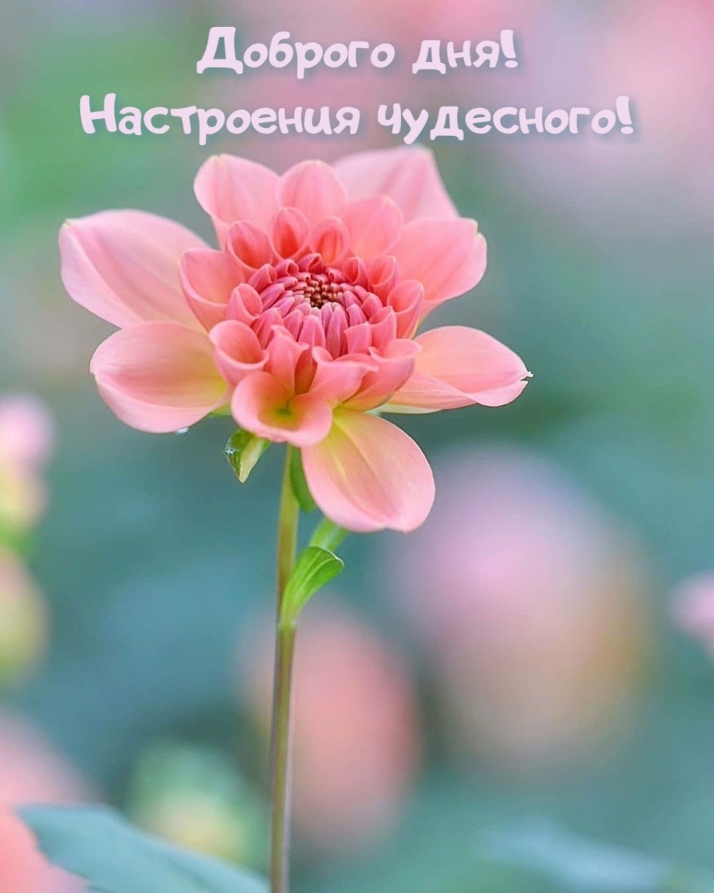 Доброе Утро! Самое Красивое Поздравление!