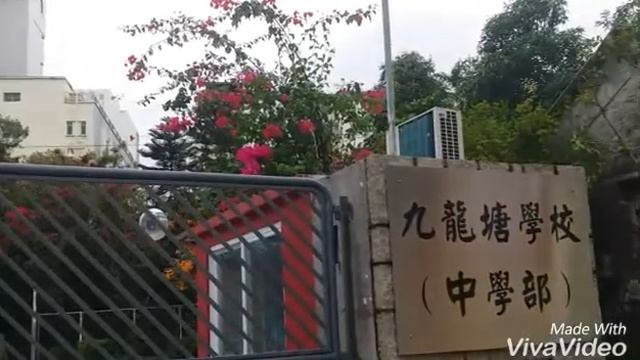 Брюс Ли!Статуя и дом легенды в Гонконге смотреть онлайн