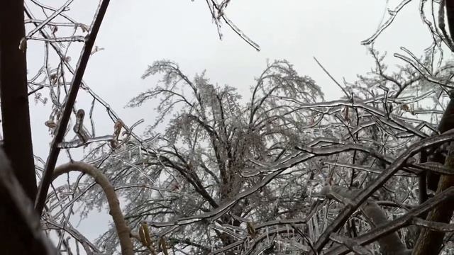 хрустальный звон краснодара смотреть онлайн
