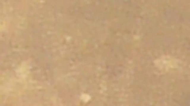 Zoom test Panasonic HC-V250 смотреть онлайн