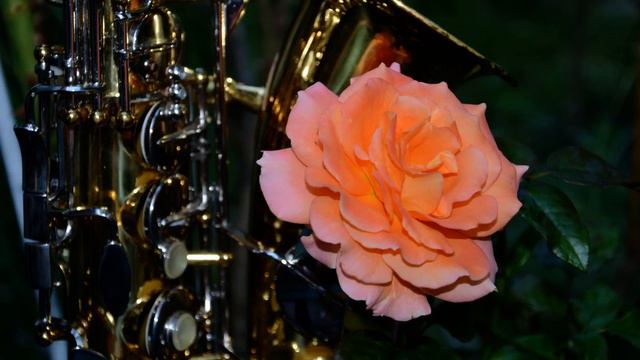 Romantic saxophone Golden saxophone Fausto Papetti Feelings (50) АК SAX MUSIC смотреть онлайн