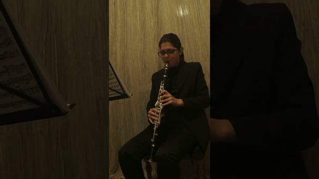 Orchestra Excerpts Clarinet+Piccolo Clarinet смотреть онлайн